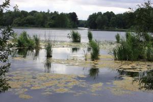 Eichholz 22.Juli.2010